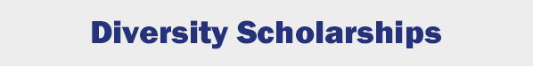 diversity scholarships button.jpg