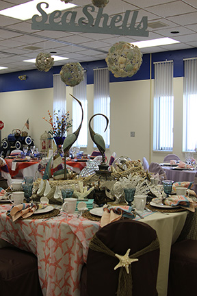 sea_shells-web.jpg