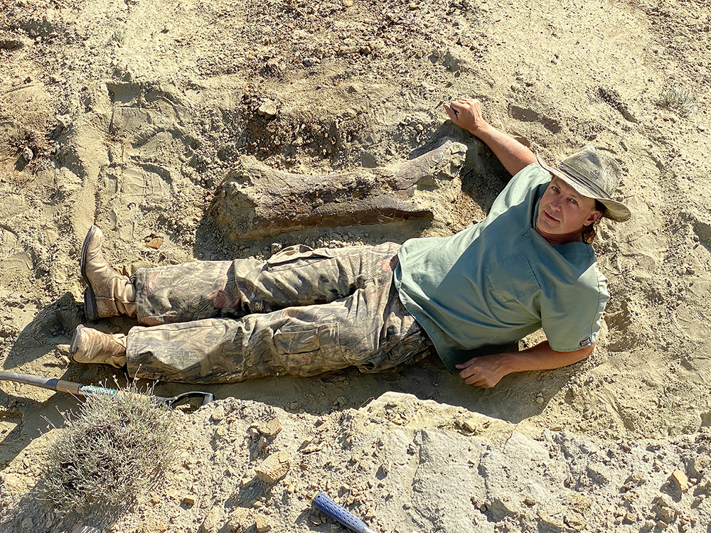 Triceratops femur for newspaper.jpg