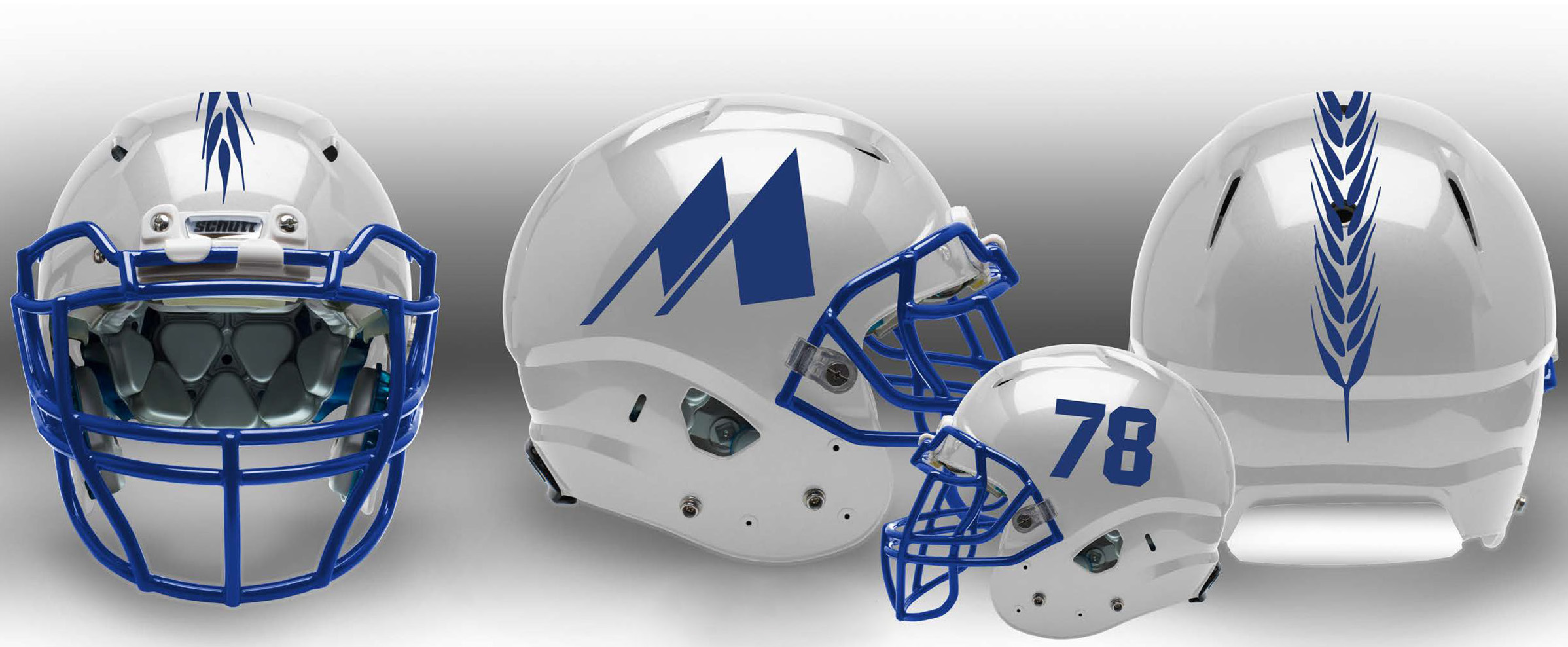 helmet image.jpg