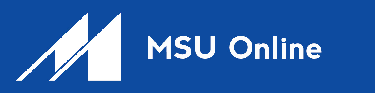 MSU online.jpg