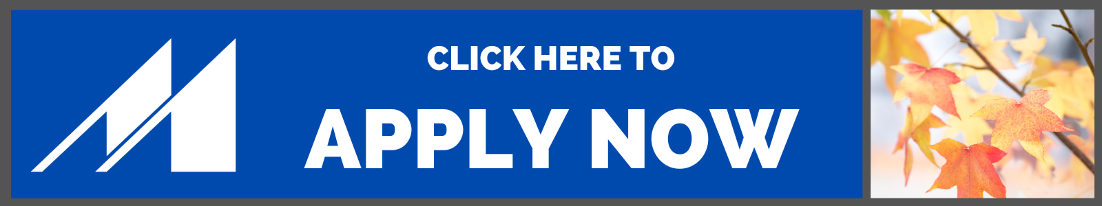 Fall 2022 Push apply now button.png