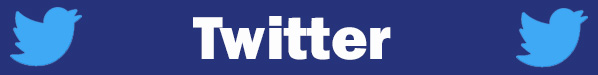 Twitter button.jpg