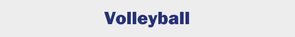 volleyball button.jpg