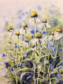 Comet Coneflowers 2018.jpg